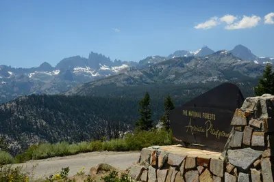 DSC_0263 (Large).JPG